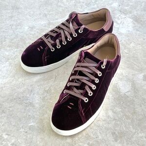 Gianvito Rossi Burgundy Velvet Low Top Sneakers